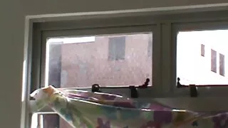 Bardzo młode darmowe filmy erotyczne dojrzałe lesbijki bawią się na łóżku