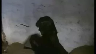 Młoda darmowe filmy z lezbijkami dziewczyna szturchnął na różowy wibrator
