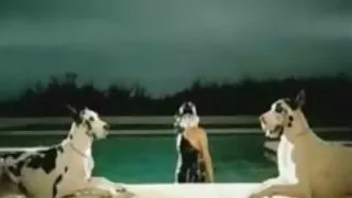 W stylowym seksie Młody piesek dostał kutasa w sex tv darmowe filmy cipkę