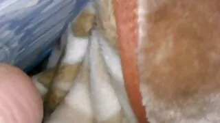 Młody człowiek w dupę fucked stary darmowe filmy erotyczne animowane i wytryski na cipki